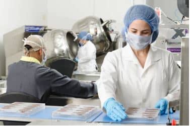 החזרת עוברים